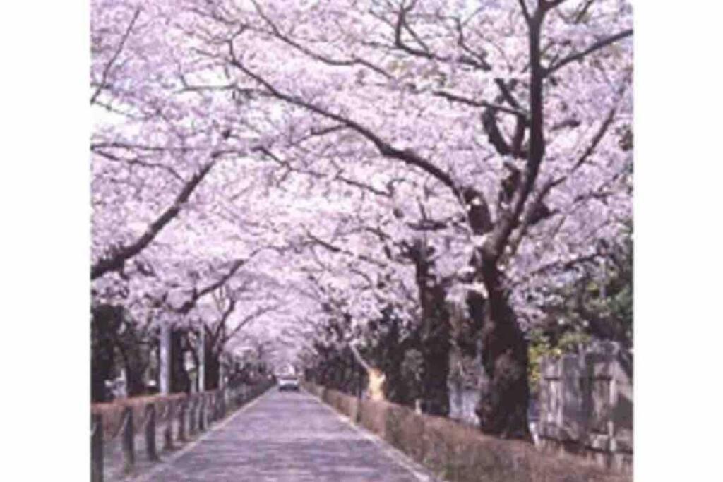 Small Villa Tokyo 渋谷まで2駅10分 青山一丁目駅徒歩3分一軒家ペット歓迎お子様歓迎駐車場あり6人までok Ngoại thất bức ảnh